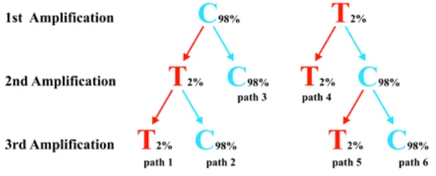 Figure 9: Schematic illustration of the strategy where two or three amplifications are used to determine an ancient DNA sequence