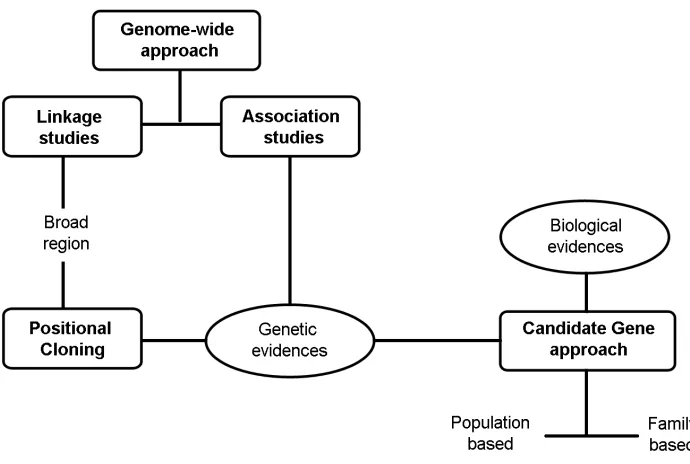 Figure 1.3: Methods of gene discovery for complex diseases. These methodscan be broadly classiﬁed as hypothesis-free approaches (genome-wide) andhypothesis-based approaches (candidate gene)