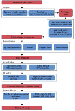 Figure 1.5. Overview of the RNA-seq analysis pipeline for detecting differential 