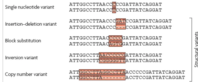 Figure 4. Nomenclature and representation of human genetic variation.Single nucleotide variants are DNA polymorphisms in which a singlebase is altered
