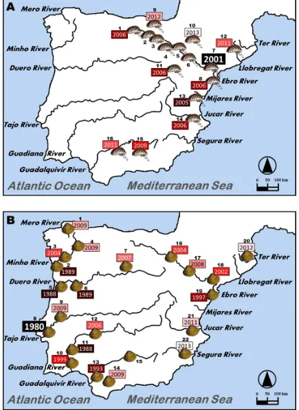 Figure 1.2. Invasion history in the Iberian Peninsula. A: Zebra mussel. B: Asian clam