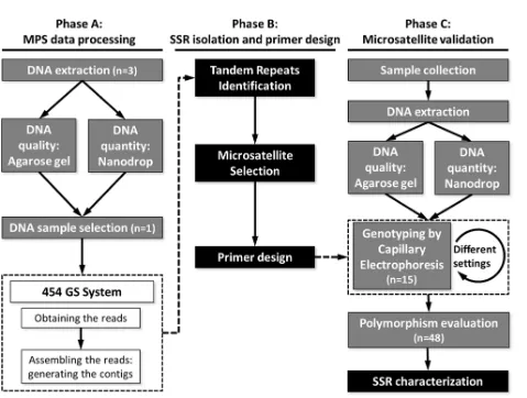 Fig 1. Experimental design and protocol pipeline. Gray steps: Laboratory protocols. White steps: 454 GS System