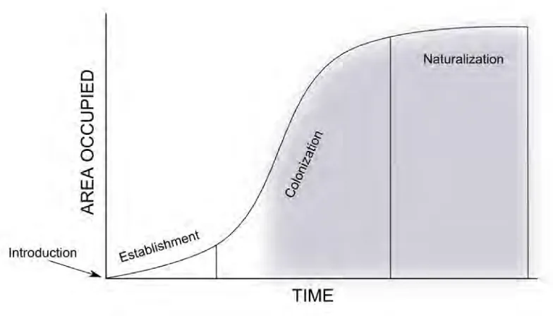 Figure 1.1: Schematic representation of a common invasion process. Lapses of time arehighly variable among species and at different ecosystems