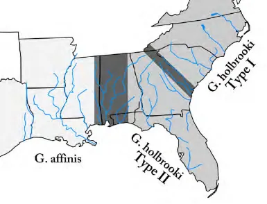 Figure 1.4: Schematic map of the areas where G. holbrooki is native in the east coast ofNorth America