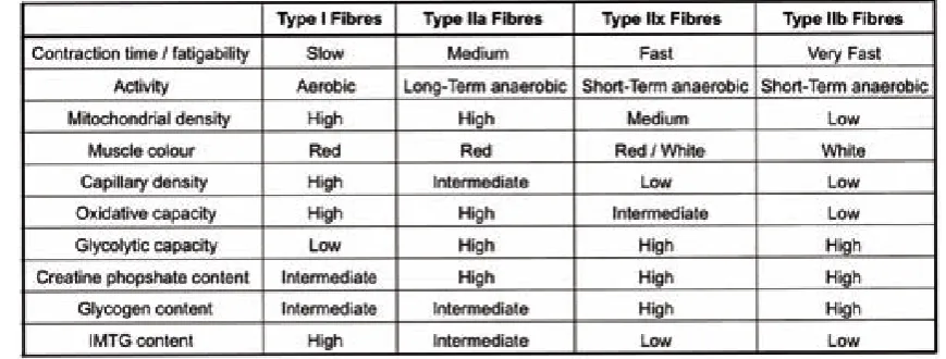 Table 1. Basic Muscle Fibre Type and Metabolic Properties (Mann et al., 2010) 