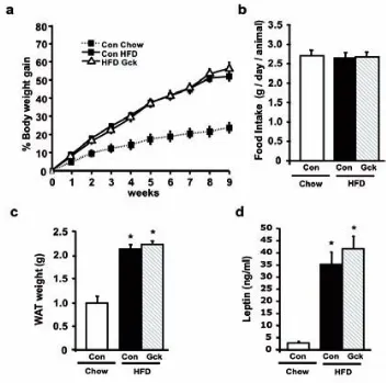 Figure 5. Body weight gain, food intake, eWAT weight and Leptin measurements. (a) Body weight gain was measured weakly in control (Con) or AAV(d) Circulating leptin levels were measured at week 13 as stated in Materials and Methods