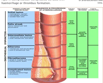 Figure 4. Graphical 