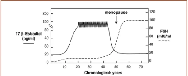 Figure 10. Schematic 