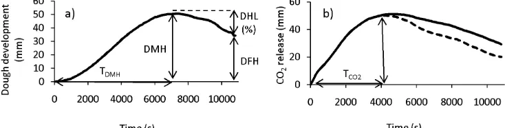 Figure 1: Pattern of changes in: a) dough development, and b) CO2 production (solid line) and release curves (discontinuous line) samples tested in a rheofermentometer F3