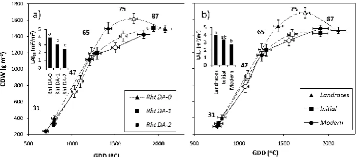 Figure 2.  Changes in the crop dry weight of bread wheat varieties grouped according to: a) the  number of Rht dwarfing alleles (Rht DA) they carry, and b) the breeding period (BP) in which they were released/grown