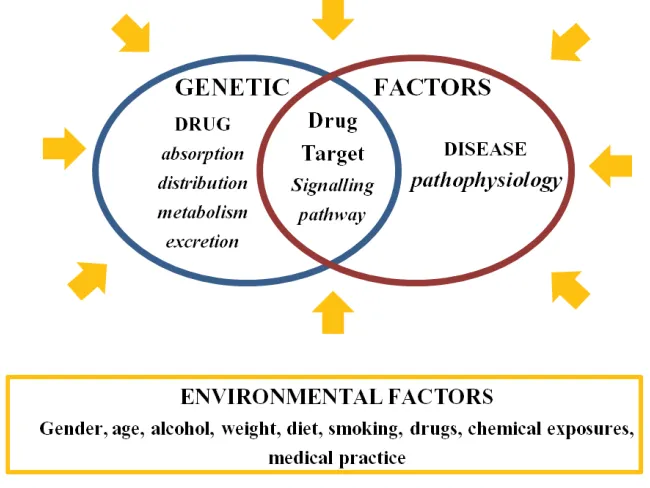 Figure 5. Variability in drug response: a genetics and environmental interplay (Adapted from (Gorwood and Hamon, 2006)