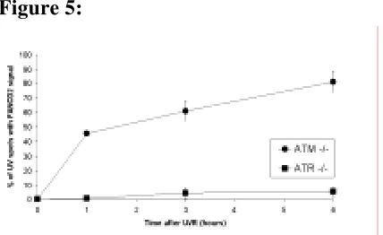 Figure 5:   