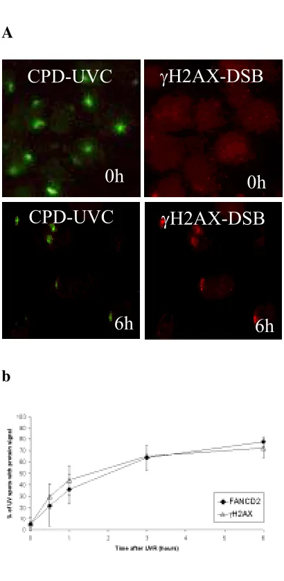 Figure 7: 