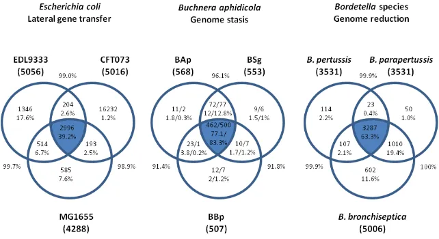 Figure 1.2: Comparison of gene content in three bacterial lineages under different evolutionary preassures using “Venn diagram” representation