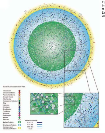 Figura 2.Interactoma de  D. melanogaster.Extret de Giot et al. 2003. 