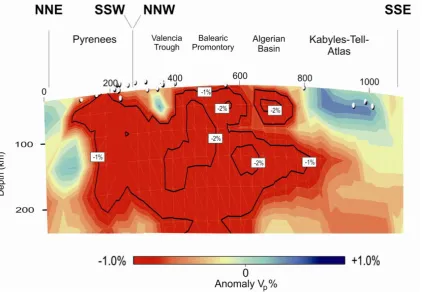 Figure 2.3: P-wave tomography model along the profile (Villaseñor et al., 2003).