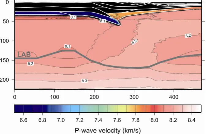 Figure 3.6: P-wave velocity structure along the modeled transect. The grey bold line (LAB) represents the 
