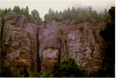 Figure 3.23: Photograph of sub-vertical wall in the Los Organos area assumed to be the head scarp ofthe eastern La Orotava landslide (overview).