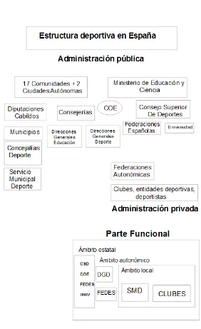 Figura 1.2. Estructura Deportiva en España. Fuente: Consejo Superior de 