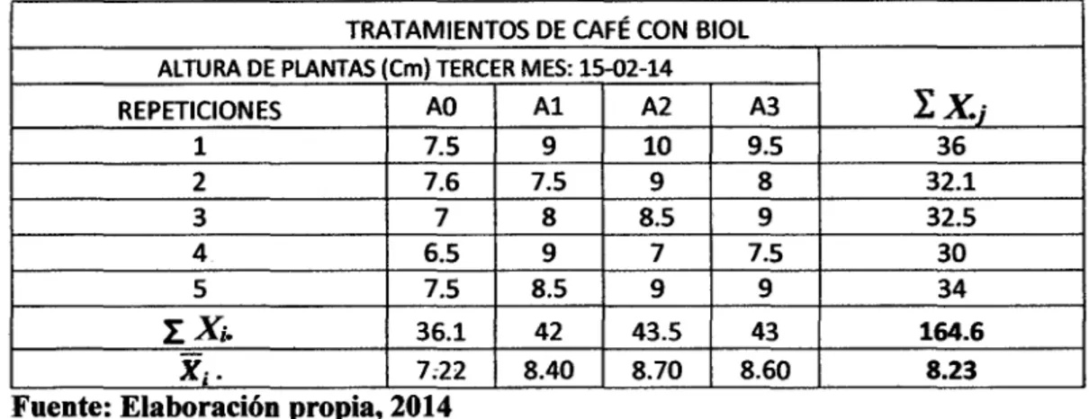Tabla N°  32:  Resumen  de  los  resultados  de  las  evaluaciones  por  mes  de  altura  de  planta de &#34;café&#34; con  y  sin aplicación de biol enriquecido con sustancias  orgánicas
