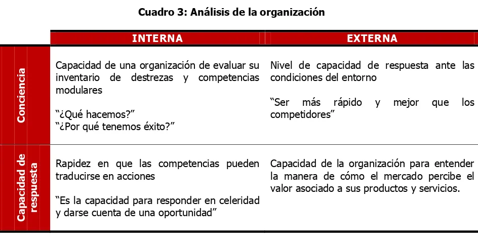 Cuadro 3: Análisis de la organización 