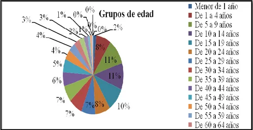 Figura 2. Población por grupo de edades