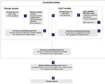 Fig. 2. Conceptual framework of the combined modelling approach developed in this thesis to address the multiscale hierarchical integration of climate and land cover information
