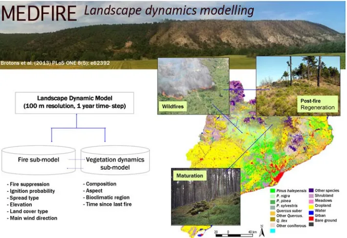Fig. 3. Conceptual design of the MEDFIRE model. Extracted from Regos et al.[94]. 