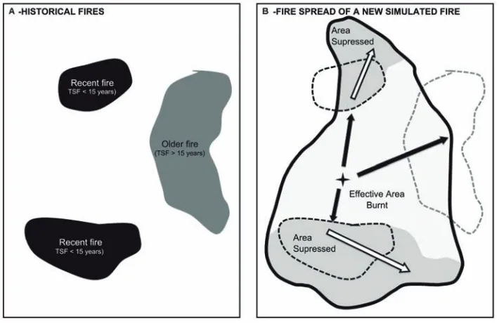 Figure 2. The figure, modified from previous work [4], illustrates the effects of opportunistic fire suppression on realized areaburnt