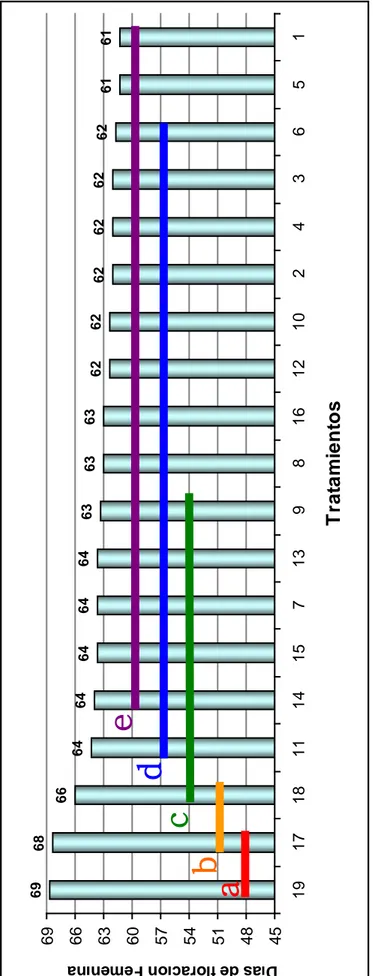 Gráfico 2: Prueba de Duncan para días al 50% de floración femenina Análisis de varianza:   Bloques            :  N.S