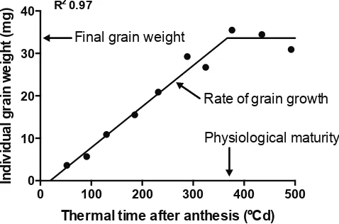 Figure 2.2. Dynamics of averaged grain weight after anthesis. For this illustrative example data are from cultivar Anza, grown under irrigation in fertilized plots of experiment 1