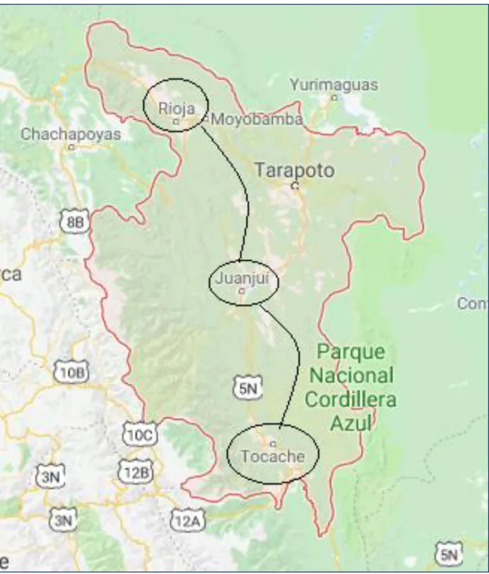 Figura 1. Localización de la ruta de exportación del cacao en la región San Martín  Nota: Google maps 
