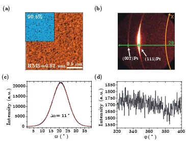 Figure 2.11: Cross-sectional scanning electron microscopy (SEM) image of the LNO-coated silicon wafer.