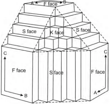 Figure 2. The three kinds of surfaces: F faces have 2 PBCs (AC, BC or AC). S faces have only one PBC (A, B or C)