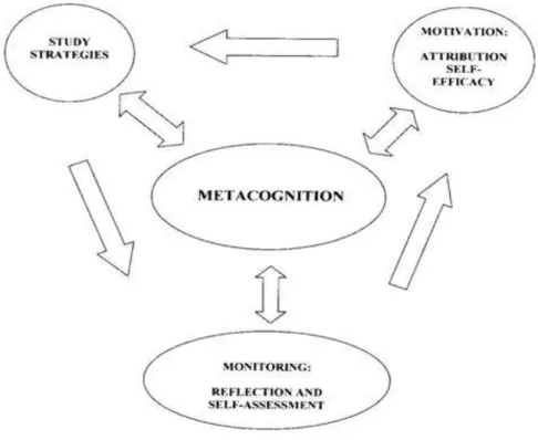 Figure 2. Metacognition 