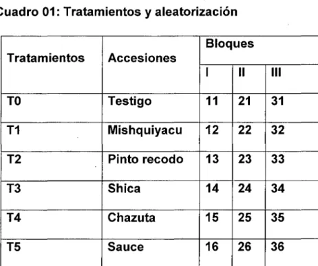 Cuadro 01:  Tratamientos y aleatorización  Bloques  Tratamientos  Accesiones  1  11  111  TO  Testigo  11  21  31  T1  Mishquiyacu  12  22  32  T2  Pinto recodo  13  23  33  T3  Shica  14  24  34  T4  Chazuta  15  25  35  T5  Sauce  16  26  36 