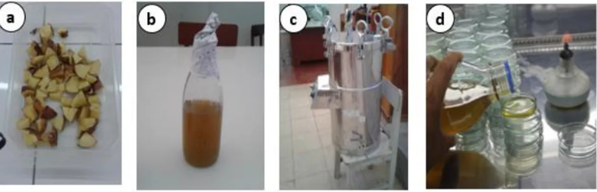 Figura  3:  a)  papa  variedad  cancha  en  trozos,  b)  Agar  diluido´+  caldo  de  papa,  c)  Autoclave  para  esterilización  del  medio,  c)  Medio  de  cultivo en placas Petri