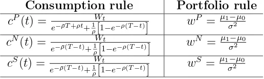Table 2.1: Power utility function.