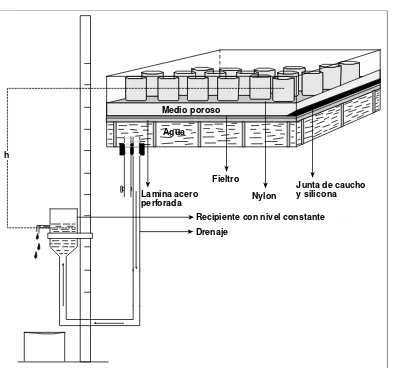 FIGURA 4.1. Esquema en sección transversal del del recipiente de tensión hídrica, (adaptado de Stackman et al., 1969)