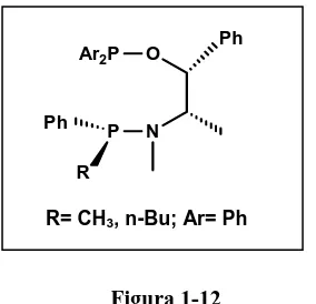 Figura 1-13 