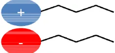 Figura 1.4. Representació d’un tensioactiu cataniònic bicatenari. 