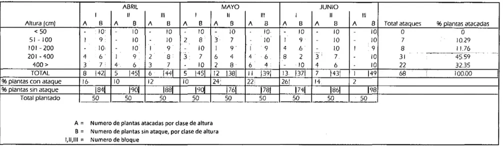 Cuadro N°0l: Relación del Número de Incidencias de Ataque de Hypsipyla grande/la con la altura (cm) de  las  plantas de caoba,  para los meses de abril,  mayo y junio 