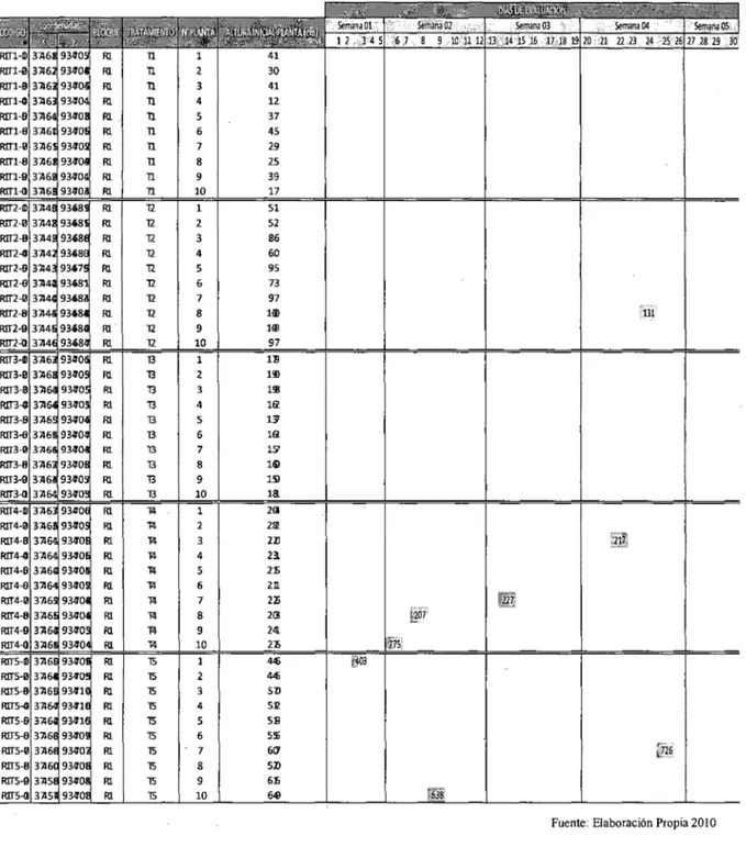 Cuadro N°  05:  Datos de Evaluación en Campo Bloque  1 Mes Abril2010. 