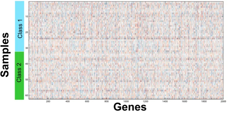 Figure 1-1: Microarray data visualization with heat map. Each columns represents a singlegene, while each row represents a sample and it visualizes the lack of apparent regularity in amicroarray dataset.