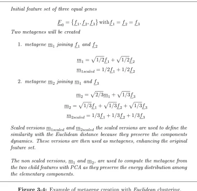 Figure 3-4: Example of metagene creation with Euclidean clustering.