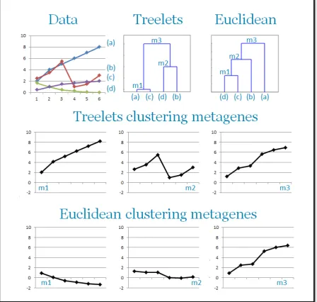Figure 3-5: Example of metagene construction process dierences between Treelets and Eu-clidean clustering