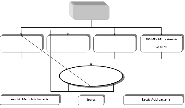 Figure 2-2. Workplan for the evaluation of he effect of HHP treatments on kiwifruit puree microbiota 