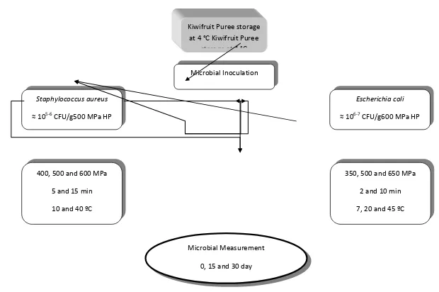 Figure 2-3. Workplan for the innoculation experiment   