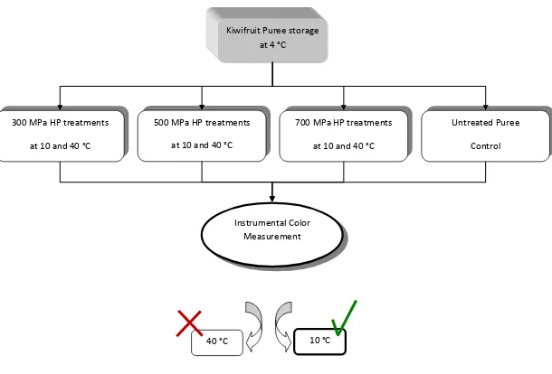 Figure 2-4. Work plan corresponding to the preliminary analysis of kiwifruit 