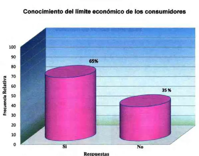 GRÁFICO Nº 13 